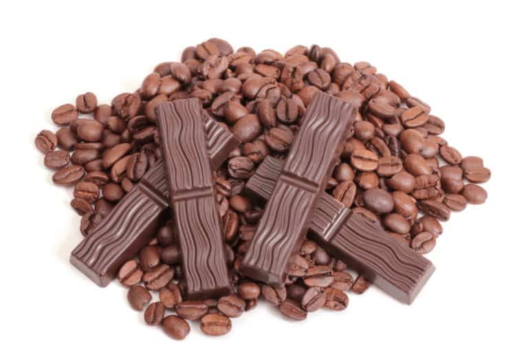 Difference Between Coffee and Cocoa Beans Gourmet Coffee Lovers