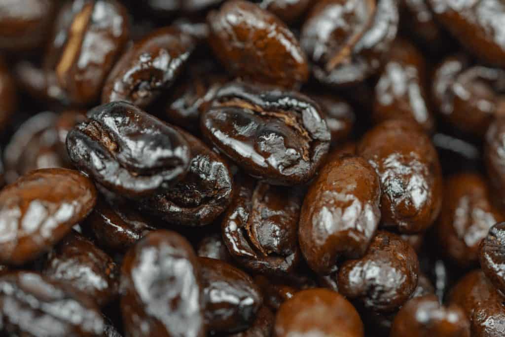 Oily Coffee Beans What Are These? Gourmet Coffee Lovers